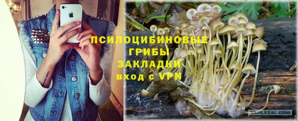 а пвп мука Арсеньев