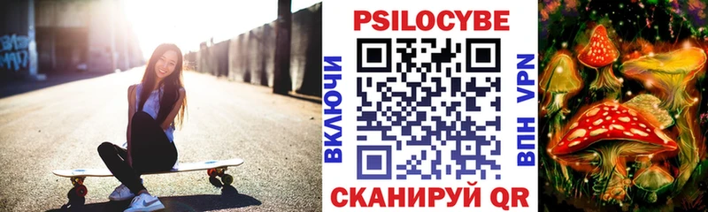 Галлюциногенные грибы Psilocybe  закладка  Тимашёвск 